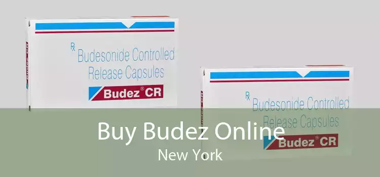Buy Budez Online New York