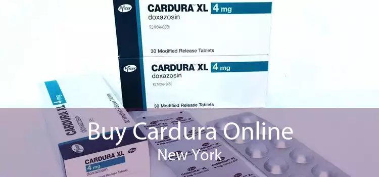 Buy Cardura Online New York