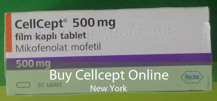 Buy Cellcept Online New York