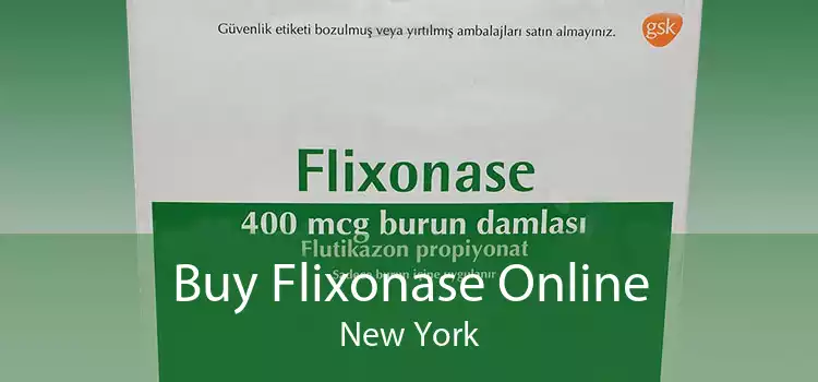 Buy Flixonase Online New York
