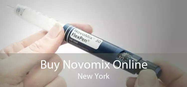 Buy Novomix Online New York