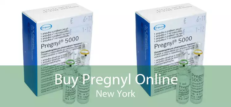 Buy Pregnyl Online New York