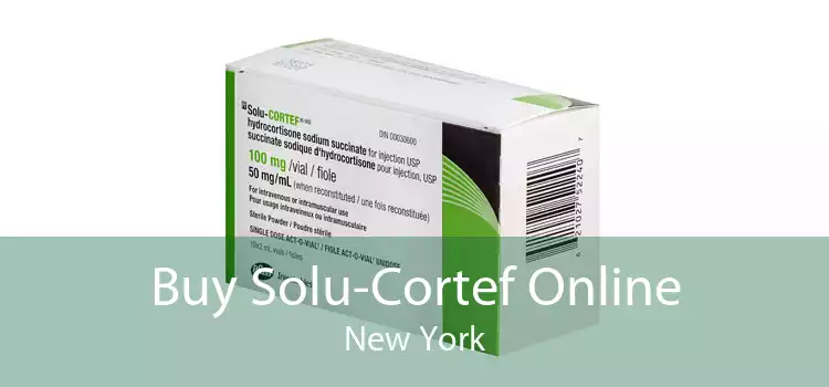 Buy Solu-Cortef Online New York