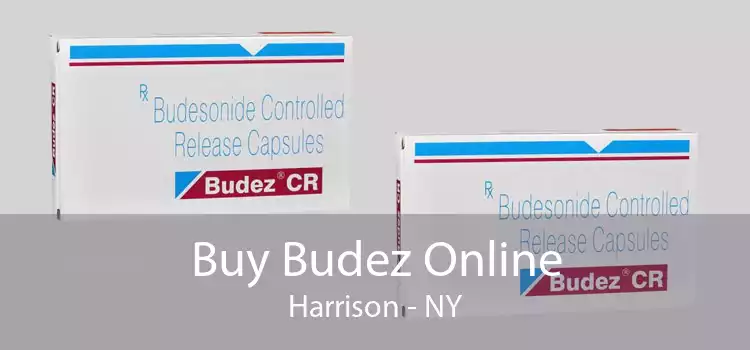 Buy Budez Online Harrison - NY