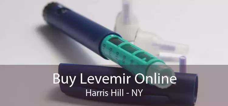 Buy Levemir Online Harris Hill - NY