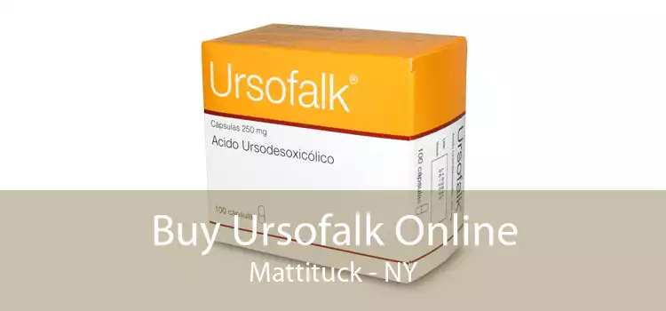Buy Ursofalk Online Mattituck - NY