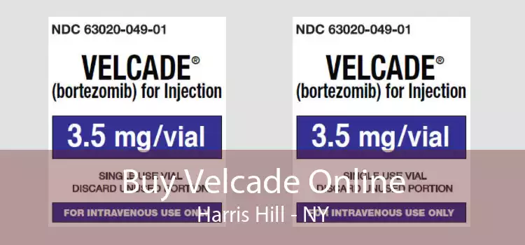 Buy Velcade Online Harris Hill - NY