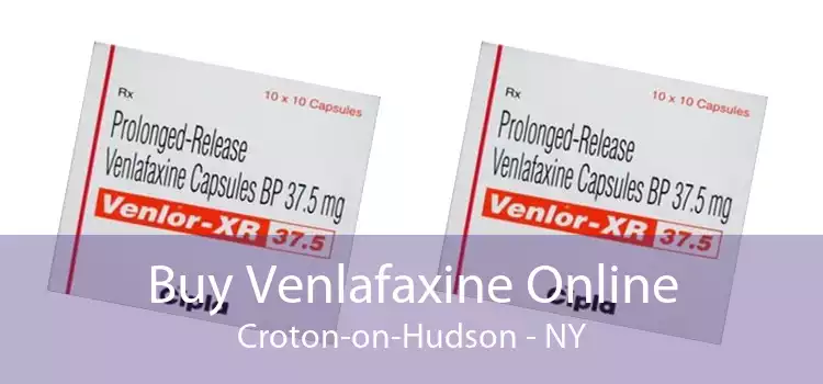 Buy Venlafaxine Online Croton-on-Hudson - NY