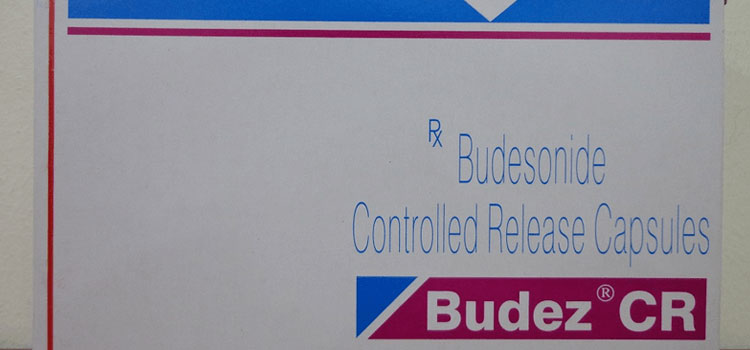 buy Budez in Crown Heights, NY